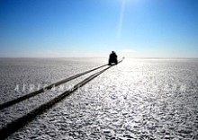 7. UNIQUE ECOSYSTEMS OF MAKGADIKGADI PANS & CENTRAL KALAHARI