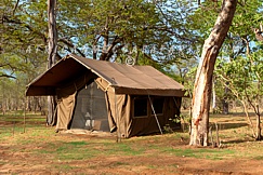 CHOBE UNDER CANVAS