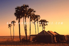 jackscampmakgadikgadi1 JACKS CAMP
