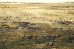 jackscampmakgadikgadi8
