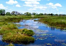 jaocampokavango9 1. WORLD FAMOUS OKAVANGO DELTA - THE WORLD’S LARGEST INLAND DELTA