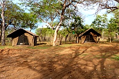 MOREMI UNDER CANVAS