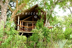 TUBU TREE CAMP