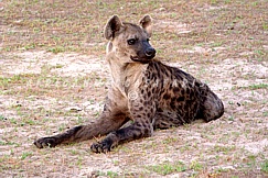 OKAVANGO DELTA